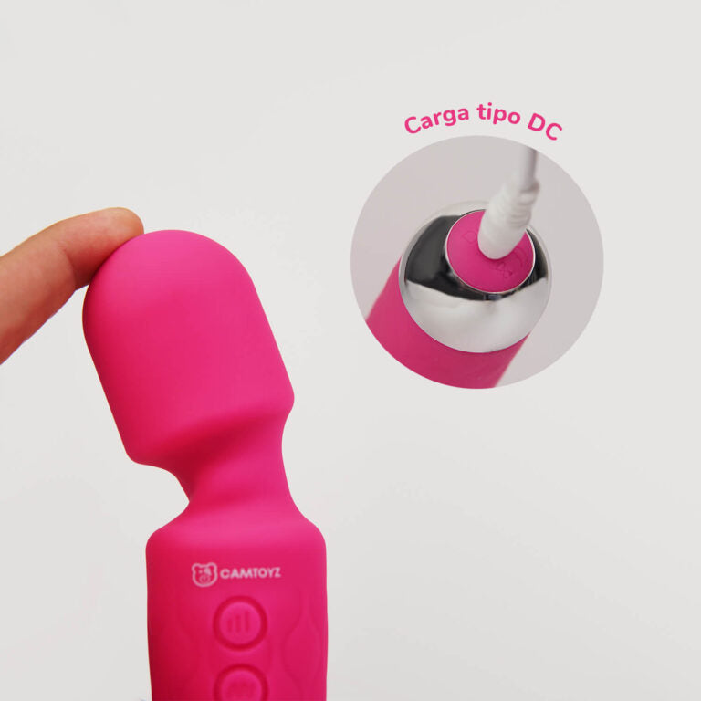 Detalle de la conexión de carga tipo DC del Vibrador Tipo Hitachi Noah Majestic.